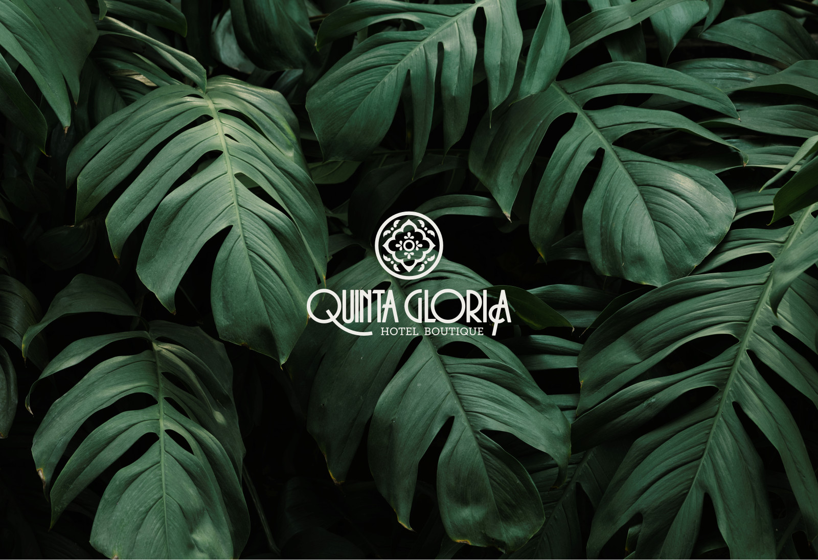 Quinta Gloria